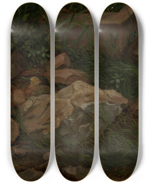 Triptych art skateboard deck of Hans Thoma Steine Im Gras by Hans Thoma (1839-1924)