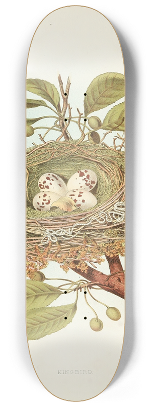 Edwin L. Sheppard - Kingbird 8.25 inch art skate deck Edwin L. Sheppard - Kingbird 8.25 inch art skate deck