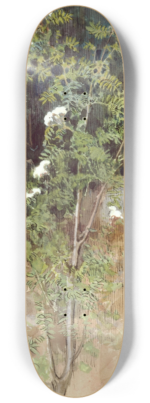 Eero Jrnefelt - White rowan 8.25 inch art skate deck