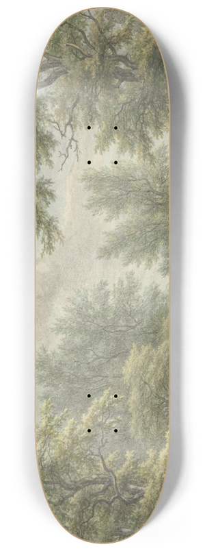 Egbert van Drielst - Landschap bij Eext, Drenthe 8.25 inch art skate deck