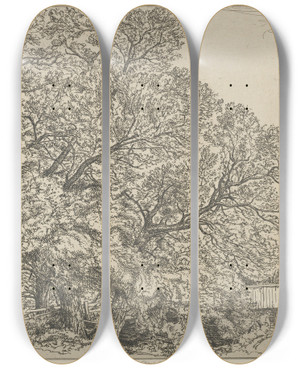 Triptych art skateboard deck of Ernest Haskell Alna Willows by Ernest Haskell (1876-1925)