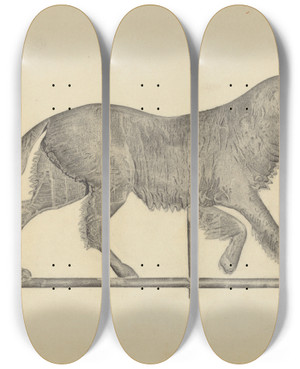 Triptych art skateboard deck of Gordon Sanborn Dog Weather Vane by Gordon Sanborn