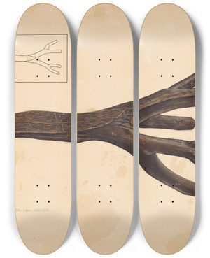 Triptych art skateboard deck of Lloyd A Davidson Bootjack by Lloyd A Davidson