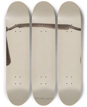 Triptych art skateboard deck of Albert Geuppert Adjustable Drawshave by Albert Geuppert