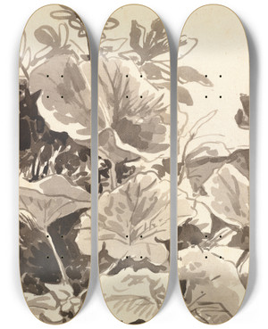 Triptych art skateboard deck of Franz Kobell Study Of Coltsfoot Leaves by Franz Kobell (1749-1822)