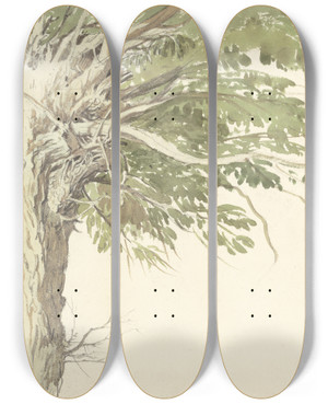 Triptych art skateboard deck of Edward Duncan Study Of A Pollarded Tree A Willow by Edward Duncan (1803-1882)