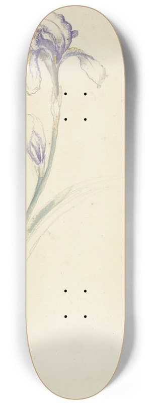 Elias van Nijmegen - Studie van iris en cyclaam 8.25 inch art skate deck