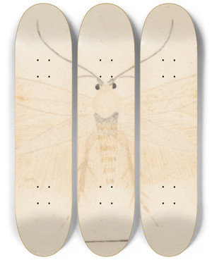 Triptych art skateboard deck of George Hudson Entomology Watercolour Pl131 by George Hudson (1867-1946)