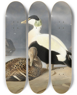 Triptych art skateboard deck of Ferdinand Von Wright Kaksi Haahkaa by Ferdinand von Wright (1822-1906)