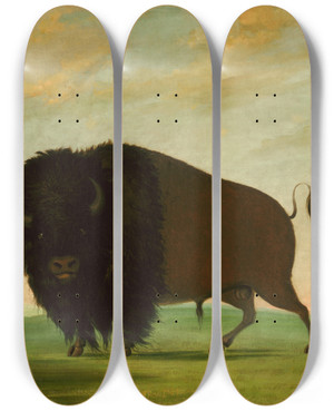 Triptych art skateboard deck of George Catlin Buffalo Bull Grazing On The Prairie by George Catlin (1796-1872) Triptych art skateboard deck of George Catlin Buffalo Bull Grazing On The Prairie by George Catlin (1796-1872)