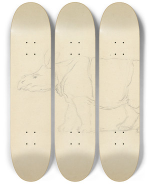 Triptych art skateboard deck of James Sowerby A Rhinoceros by James Sowerby (1757-1822) Triptych art skateboard deck of James Sowerby A Rhinoceros by James Sowerby (1757-1822)