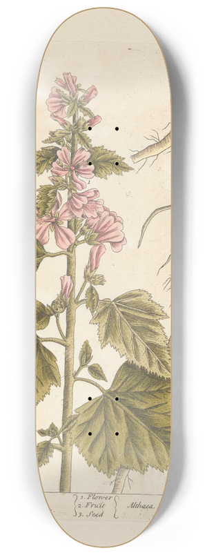 Elizabeth Blackwell - Marshmallows 8.25 inch art skate deck