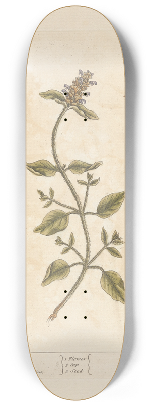 Elizabeth Blackwell - Self heal 8.25 inch art skate deck