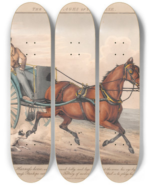 Triptych art skateboard deck of Henry Thomas Alken The Seven Ages Of The Horse_4 by Henry Thomas Alken (1785-1851)