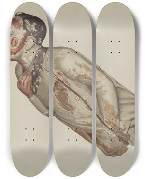 Triptych art skateboard deck of Alfred Denghausen Figurehead by Alfred Denghausen