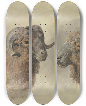 Triptych art skateboard deck of Jacob Van Strij Two Sheep by Jacob Van Strij (1756-1815)