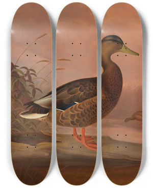 Triptych art skateboard deck of Ferdinand Von Wright Mallard by Ferdinand von Wright (1822-1906)