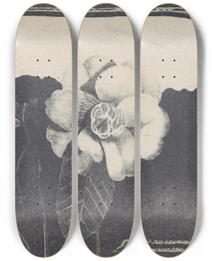 Triptych art skateboard deck of Samuel Jessurun De Mesquita Camelia Links Een Bloem In Knop by Samuel Jessurun De Mesquita (1868-1944)