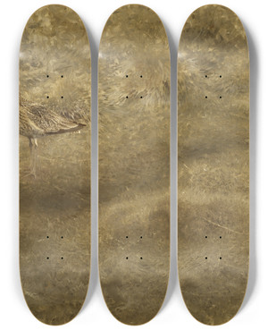 Triptych art skateboard deck of Bruno Liljefors Eurasian Curlew by Bruno Liljefors (1860-1939)