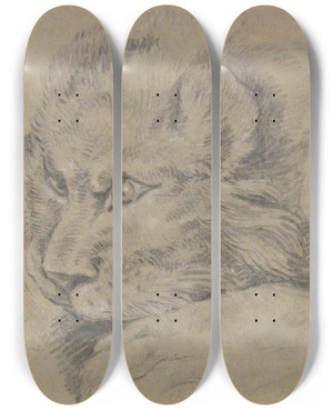 Triptych art skateboard deck of Johann Elias Ridinger Lions Head by Johann Elias Ridinger (1698-1767)