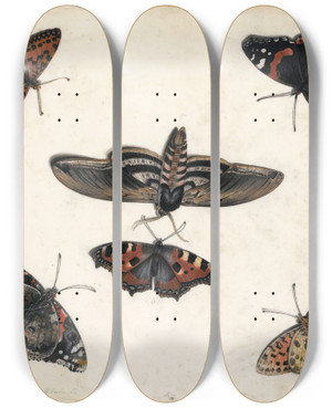Triptych art skateboard deck of Jan Van Kessel The Elder Studies Of Five Butterflies And A Hawk Moth by Jan Van Kessel The Elder (1626-1679)