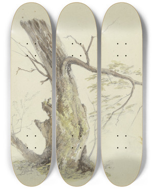 Triptych art skateboard deck of Johann Friedrich Morgenstern Tree by Johann Friedrich Morgenstern (1777-1844)