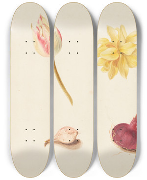 Triptych art skateboard deck of Johanna Fosie Studie Af Blomster Og Lg by Johanna Fosie (1726-1764) Triptych art skateboard deck of Johanna Fosie Studie Af Blomster Og Lg by Johanna Fosie (1726-1764)