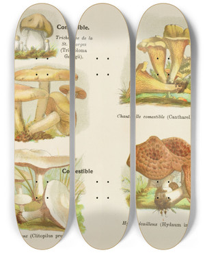 Triptych art skateboard deck of Delachaux Niestle Petit Atlas Des Champignons Pl5 by Delachaux Niestle (1882)