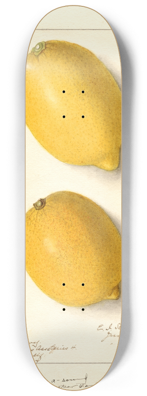Ellen Isham Schutt - Citrus limon: Eureka 8.25 inch art skate deck