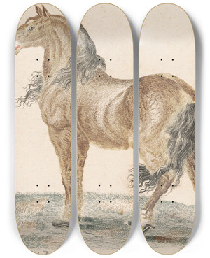 Triptych art skateboard deck of Johann Teyler The Neighing Horse by Johann Teyler (1648-1709)