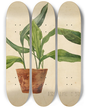 Triptych art skateboard deck of Egon Schiele Topfpflanze Schlerarbeit by Egon Schiele (1890-1918)