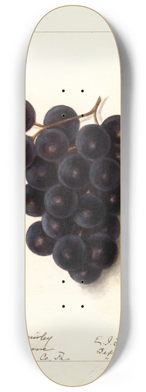 Ellen Isham Schutt - Vitis 8.25 inch art skate deck