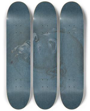 Triptych art skateboard deck of Francesco Marmitta Head Of Saint John The Baptist by Francesco Marmitta (1460-1505)