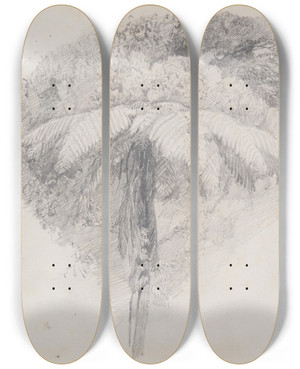Triptych art skateboard deck of James Crowe Richmond Mamaku Taranaki by James Crowe Richmond (1822-1898)