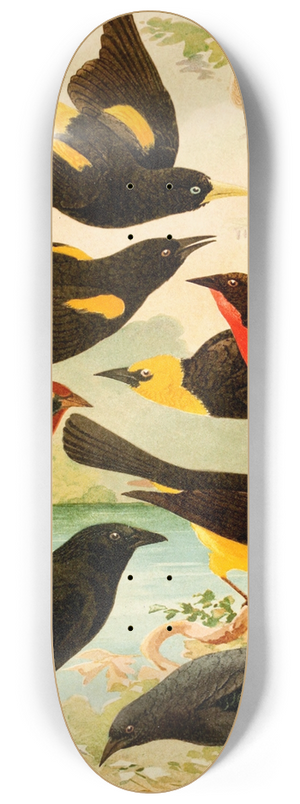 Emil August Gldi - Japiim, Rouxinol, Policia ingleza, Ir-tau, Ir-una, Vira-bosta 8.25 inch art skate deck