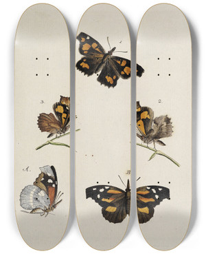 Triptych art skateboard deck of Johann Caspar Fuessli Archives De Lhistoire Des Insectes Pl08 by Johann Caspar Fuessli (1743-1786)