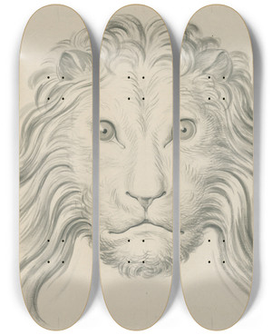 Triptych art skateboard deck of David Humbert De Superville Lions Head by David Humbert De Superville (1770-1849)