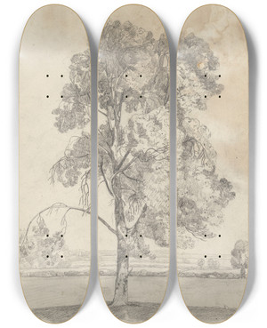 Triptych art skateboard deck of John Sell Cotman Study Of A Tree by John Sell Cotman (1782-1842)