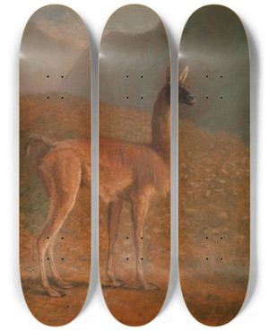 Triptych art skateboard deck of Jacqueslaurent Agasse Guanaco by Jacques Laurent Agasse (1767-1849)