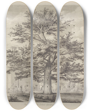 Triptych art skateboard deck of Jacob George Strutt The Enfield Cedar by Jacob George Strutt (1784-1867)