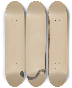 Triptych art skateboard deck of Harold Ballerd Rain Gutter Stirrup by Harold Ballerd