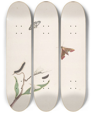 Triptych art skateboard deck of Nicolaas Struyk A Caterpillar And Two Moths On A Branch And Two Butterflies by Nicolaas Struyk (1686-1769)