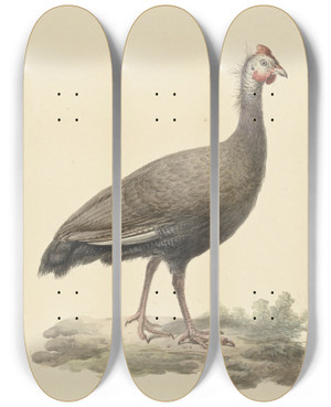 Triptych art skateboard deck of Pieter Pietersz Barbiers Helmparelhoen by Pieter Pietersz Barbiers (1749-1842)
