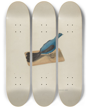 Triptych art skateboard deck of Ferdinand Badin Pin Cushion by Ferdinand Badin