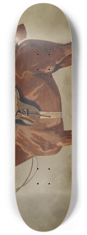 Emil Volkers - Gesatteltes Sportpferd 8.25 inch art skate deck