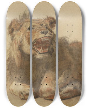 Triptych art skateboard deck of Cornelis Saftleven A Lion Snarling by Cornelis Saftleven (1607-1681)