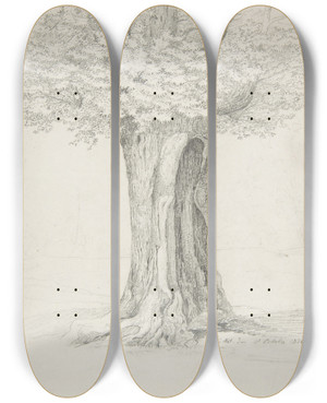 Triptych art skateboard deck of Ernst Ferdinand Oehme Study Of A Tree by Ernst Ferdinand Oehme (1797-1855)