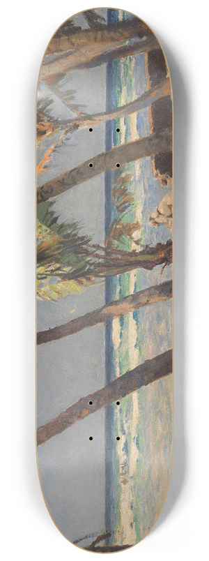 Erich Kips - Waikiki Beach 8.25 inch art skate deck
