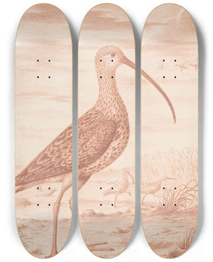 Triptych art skateboard deck of Nicolas Robert Curlews And Ducks by Nicolas Robert (1614-1685)