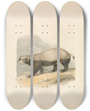 Triptych art skateboard deck of Samuel Howitt Honeybadger by Samuel Howitt (1756-1822)
